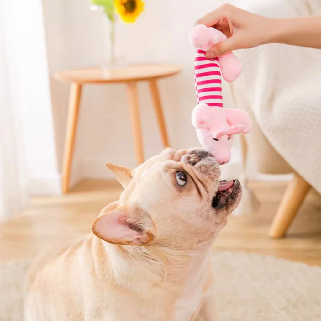 Plush Cartoon Embroidery Pet Toys (Duck / Pig / Elephant)