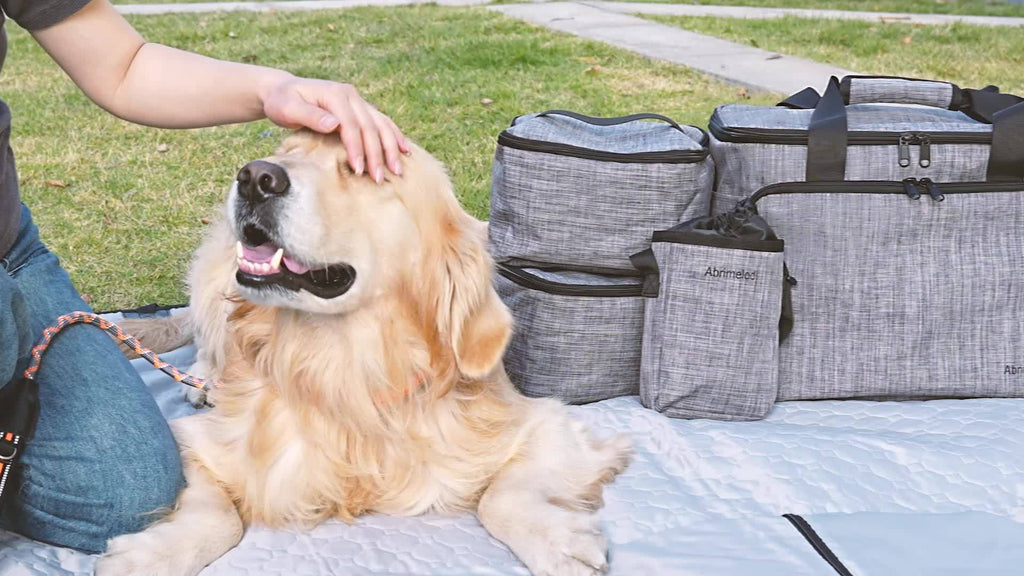 Dog Travel Bag Set