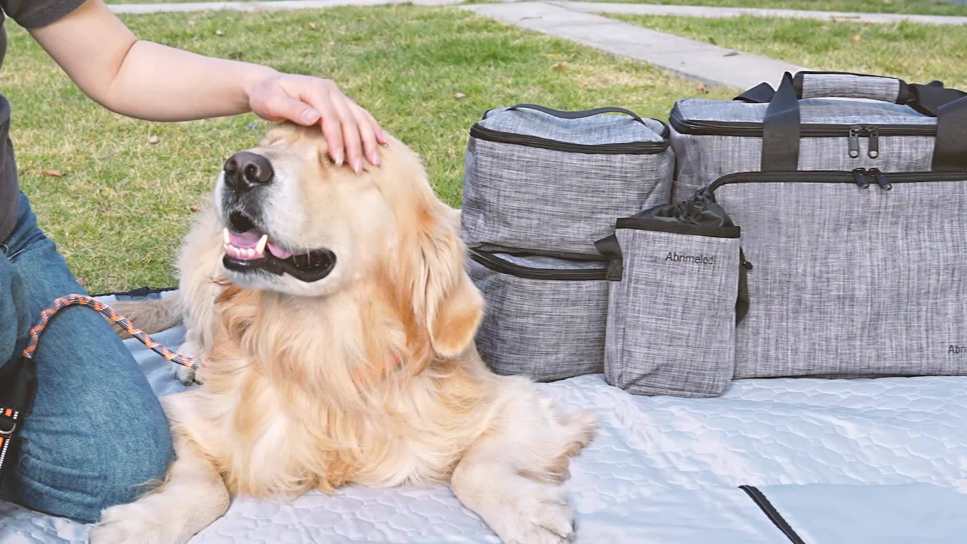 Dog Travel Bag Set